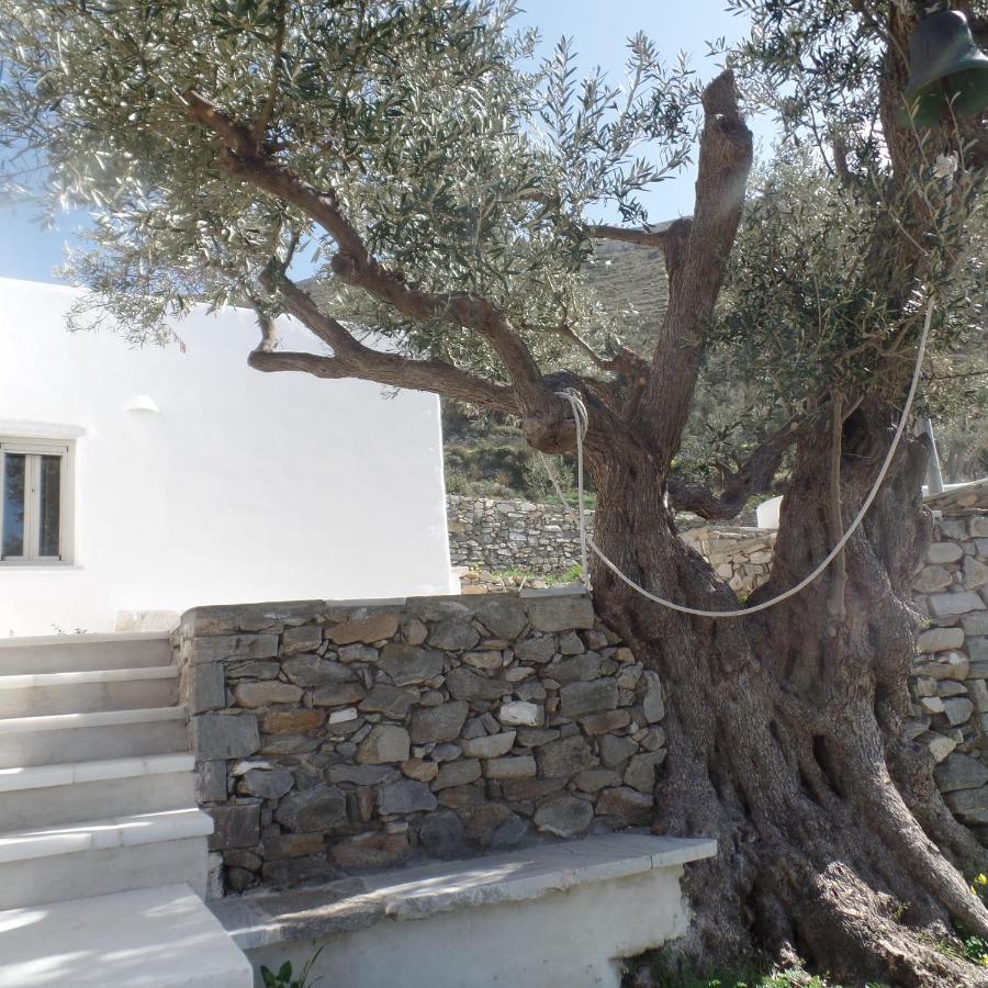 Paros Apartments Cottage Extérieur photo