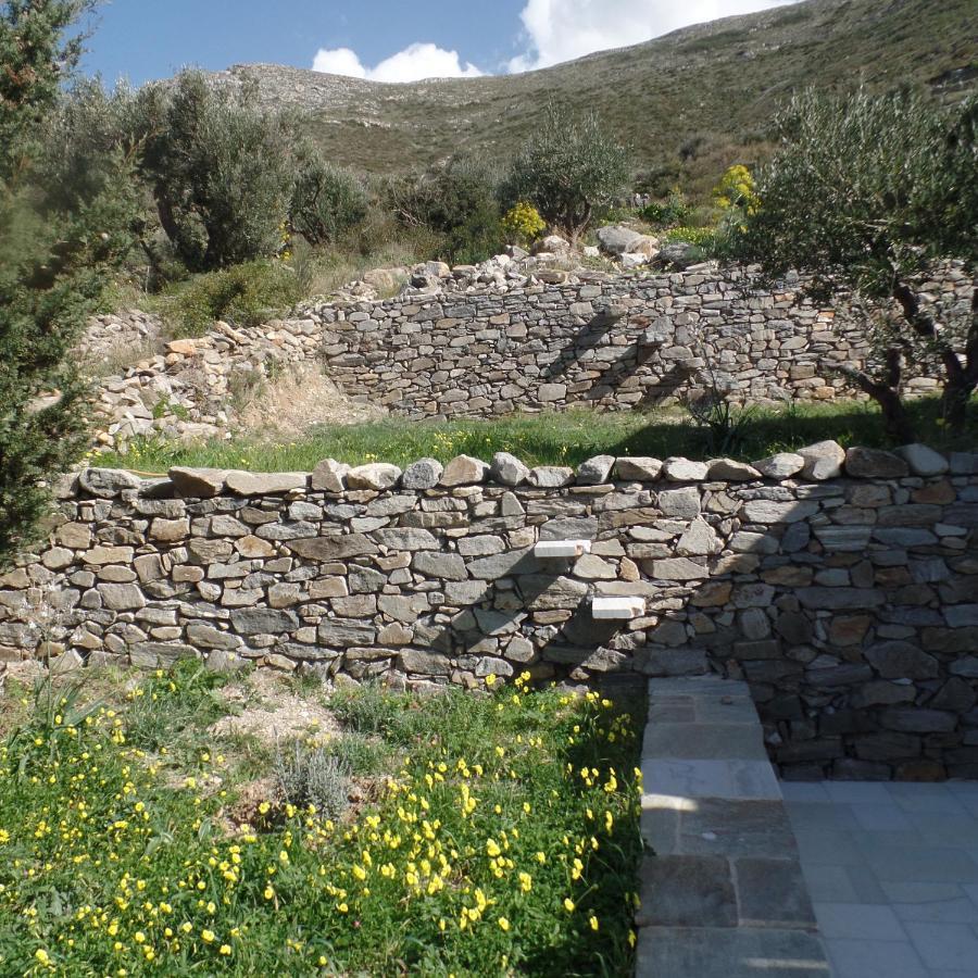 Paros Apartments Cottage Extérieur photo