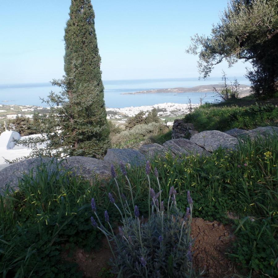 Paros Apartments Cottage Extérieur photo